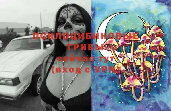 амф Алексин